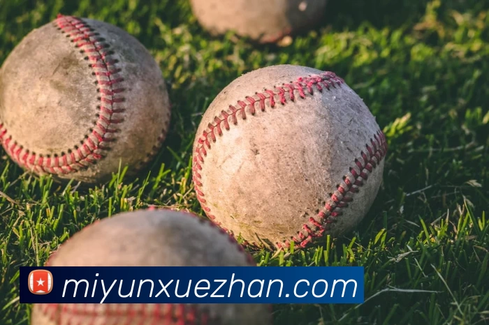 华体网页版服务体系